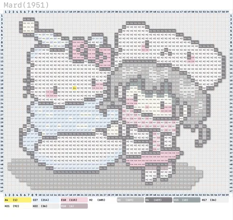 pattern